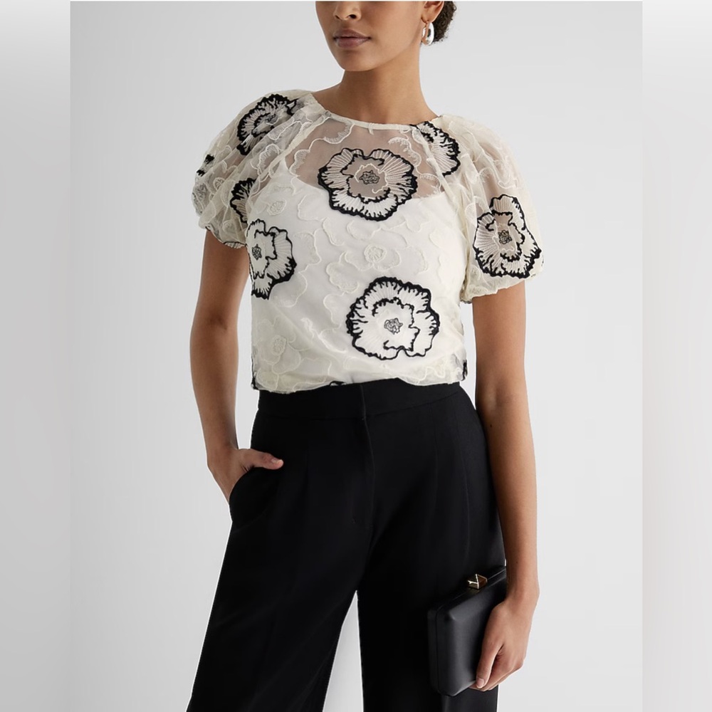 NWT Express Sheer Embroidered Lace Puff Sleeve Top